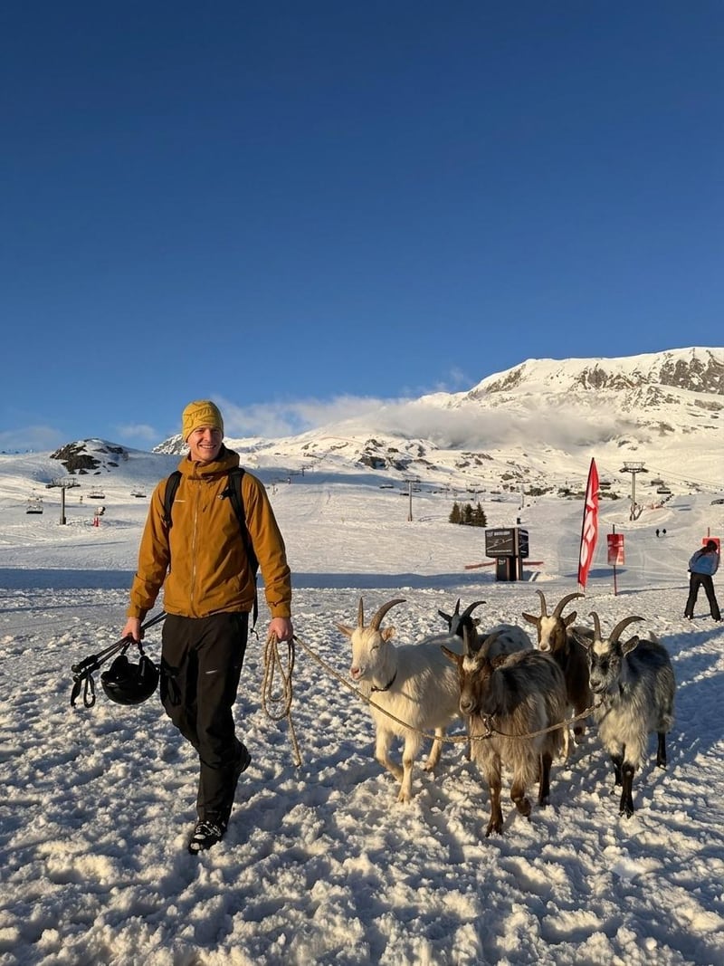 Harry Graham leading a herd of goats across a snowy resort