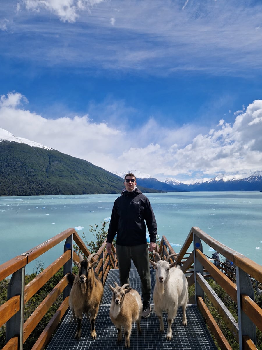 Matt Marr on a glacier viewing platform with a herd of goats
